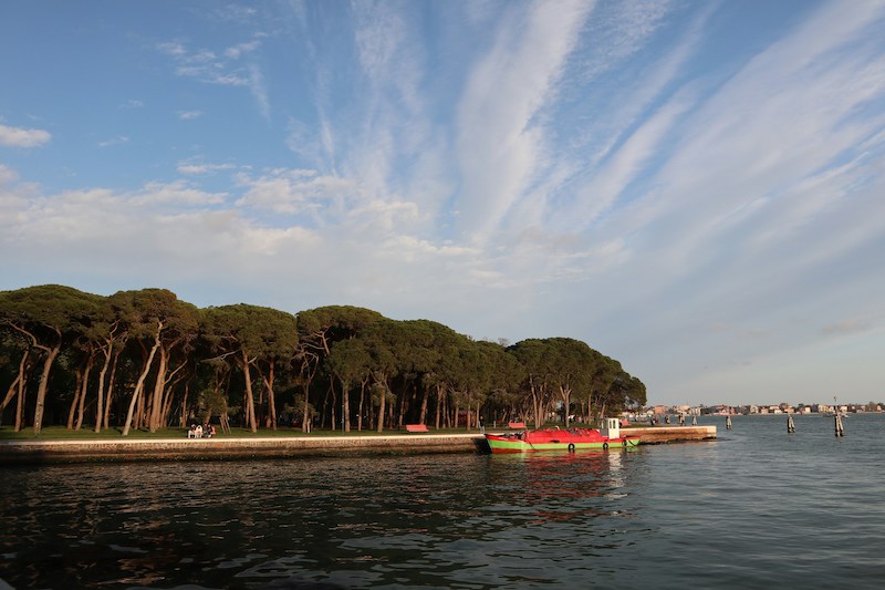 Venice Biennale: 10 Things to Do During the Venice Biennale 2026